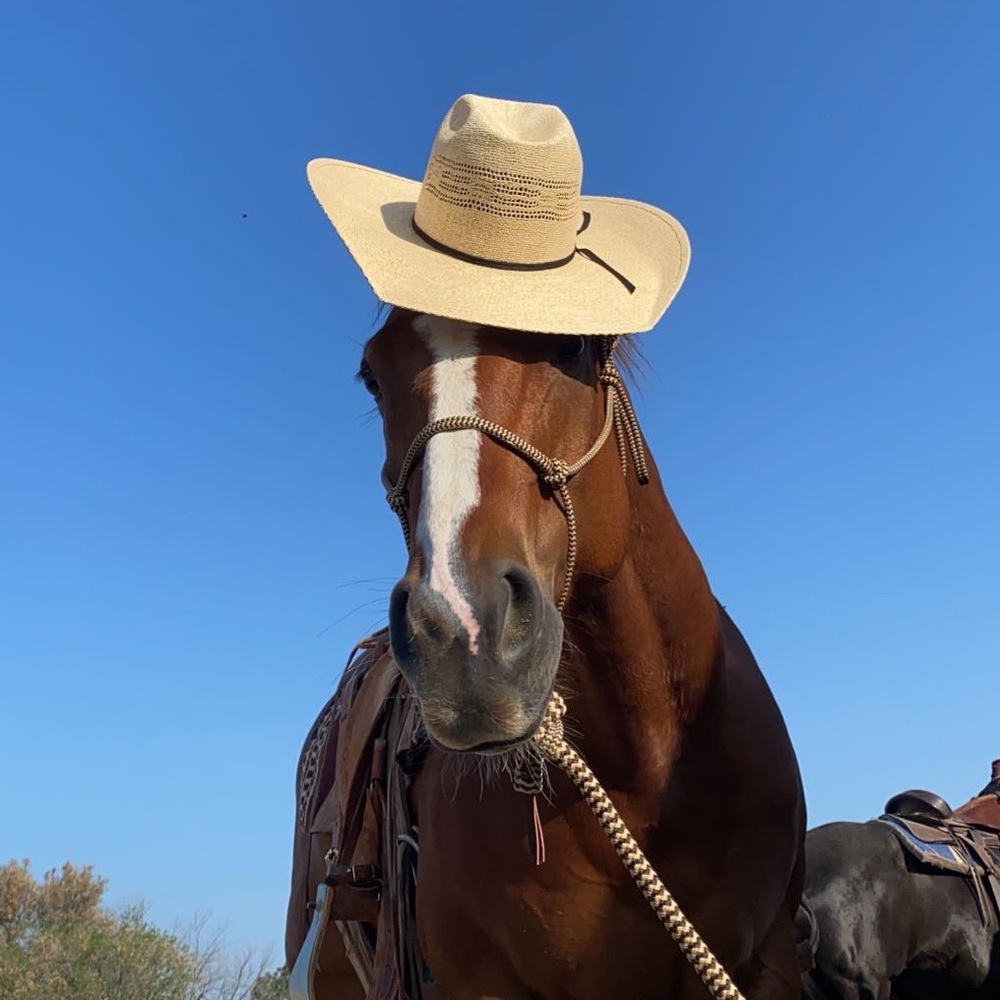 Meet your Posher, Braydin